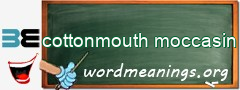 WordMeaning blackboard for cottonmouth moccasin